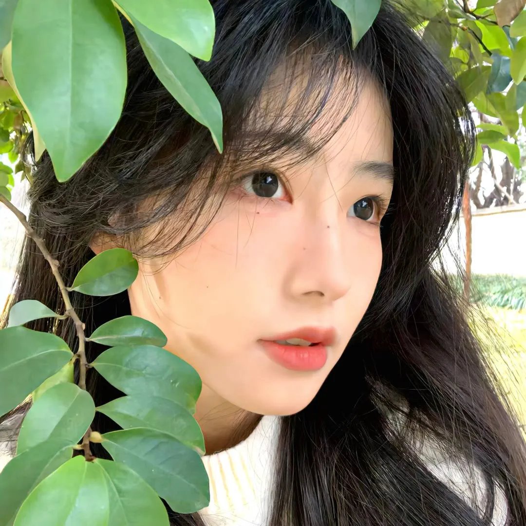 哥雅名画凶杀案